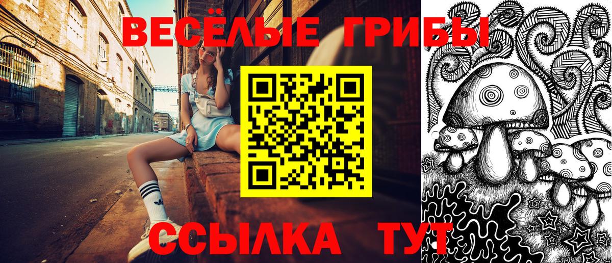 Галлюциногенные грибы GOLDEN TEACHER Белая Калитва