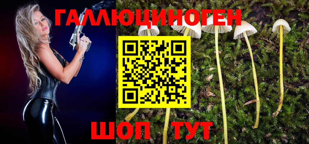 Белая Калитва  Псилоцибиновые грибы GOLDEN TEACHER  Вход с VPN 
